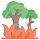燃える木