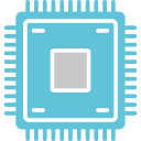 Chip