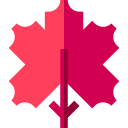 Maple leaf