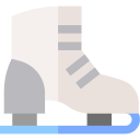 Обувь для катания на коньках
