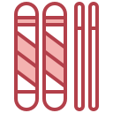 Ski