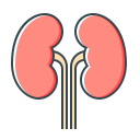 renal