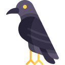 corbeau Icône