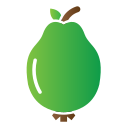 Guava