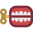 Teeth