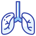 Lungs