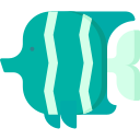 魚