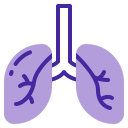 Lungs