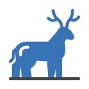 Reindeer