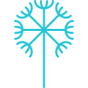 diente de león