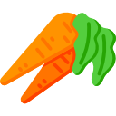 les carottes