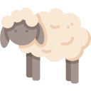 schaap