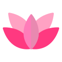 lotus icon