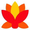 fleur de lotus