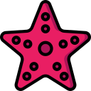 estrella de mar