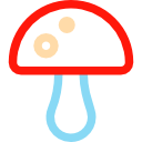 champignon