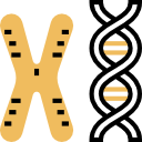 chromosoom