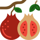 granatapfel