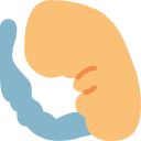 embrión