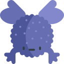 Черная дождевая лягушка