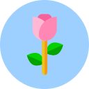 rosa