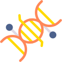 structure de l'adn