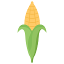 Corn
