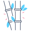 Bamboo