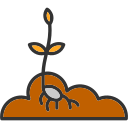 semilla