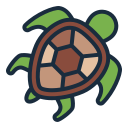 tortuga