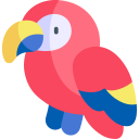 Macaw