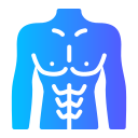 Male body