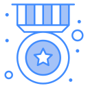 médaille étoile