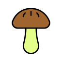 champignon