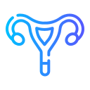 Uterus