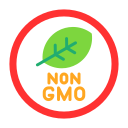 no gmo