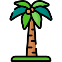 palm