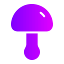 champignon