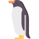 pingüino