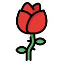 rosa