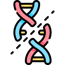 DNA