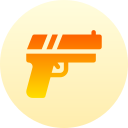 Gun