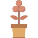 Planta de vaso