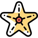 estrella de mar