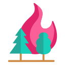 arbre en feu