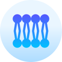 Lipid bilayer