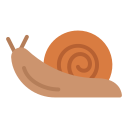 달팽이