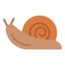 snail