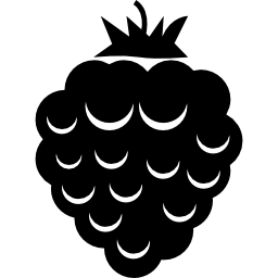 Wild blackberry icon