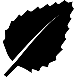 Leaf icon